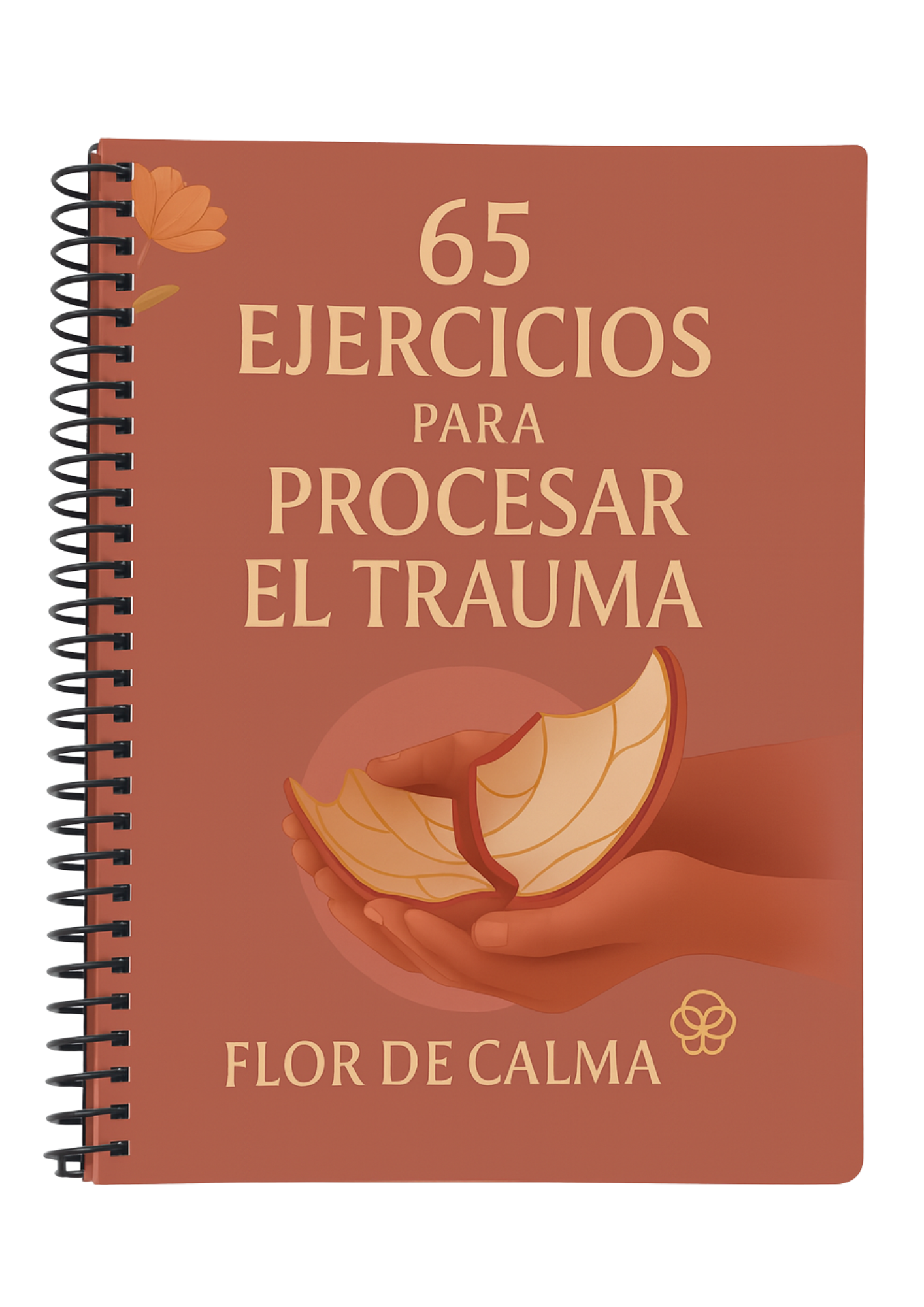 65 Ejercicios para Procesar el Trauma